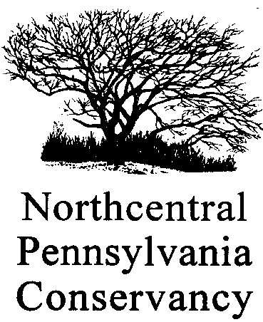 NPC Logo_Tree_Name