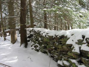 bride-farm-stone-wall-2