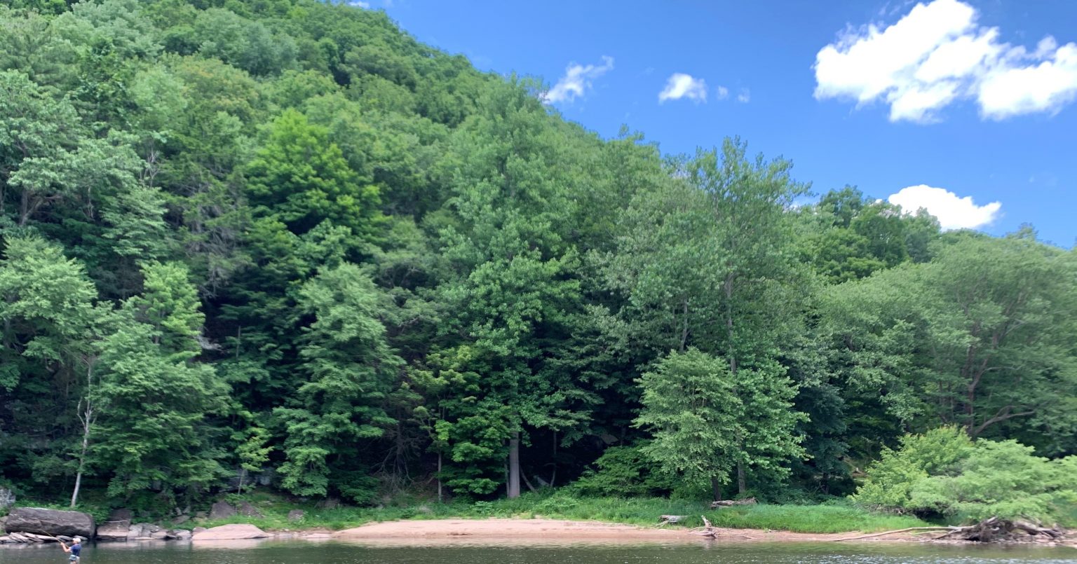 It's official! NPC adds 112 Acres to the Loyalsock State Forest